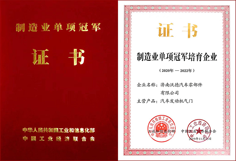 Manufacturing Single Championship Certificate